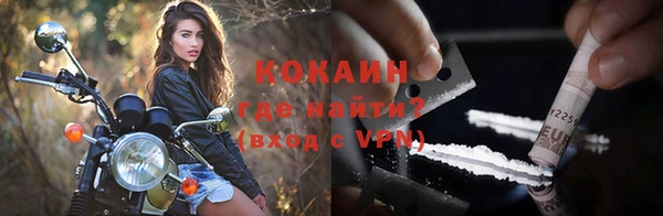 кокс Елизово